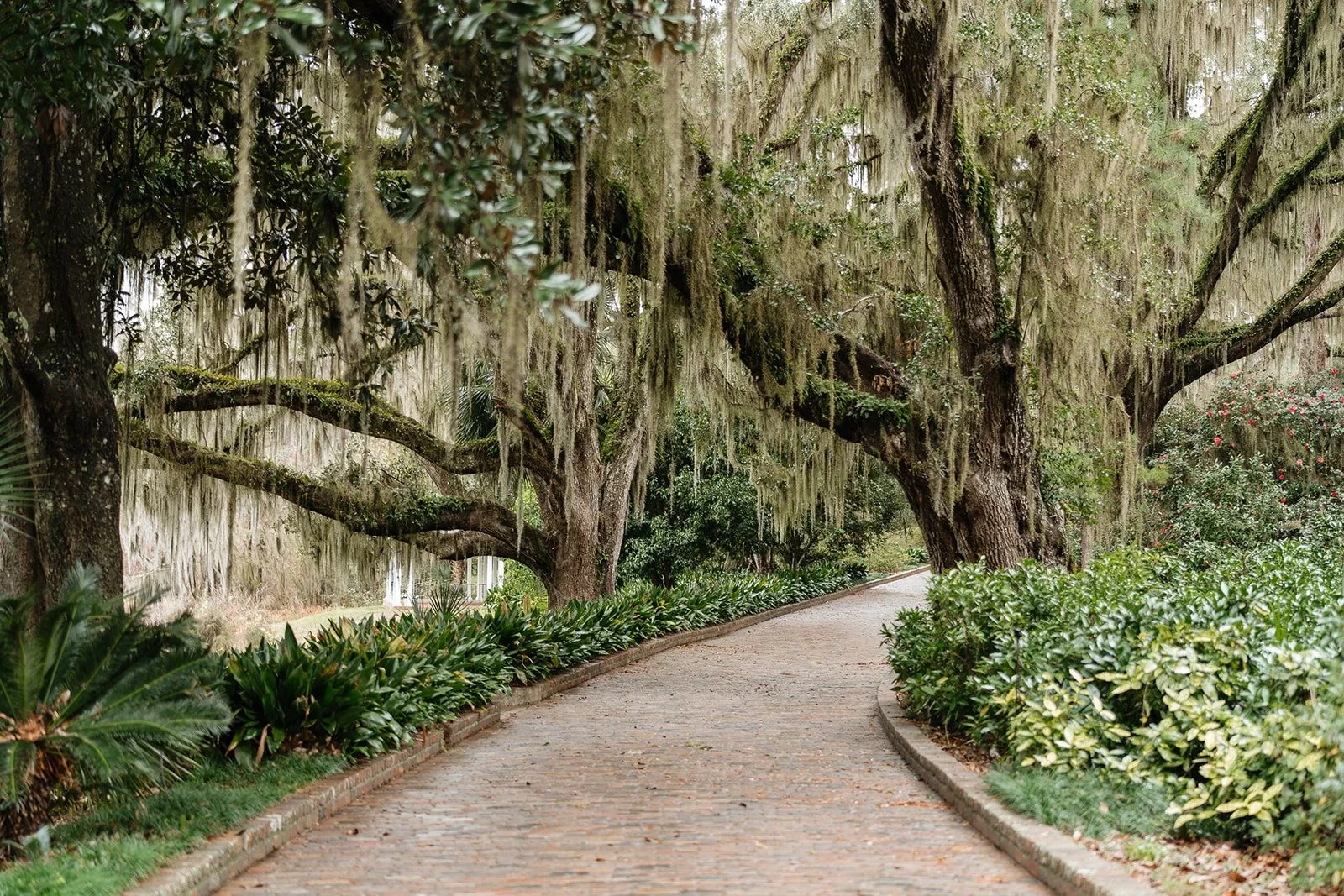 Maclay Gardens