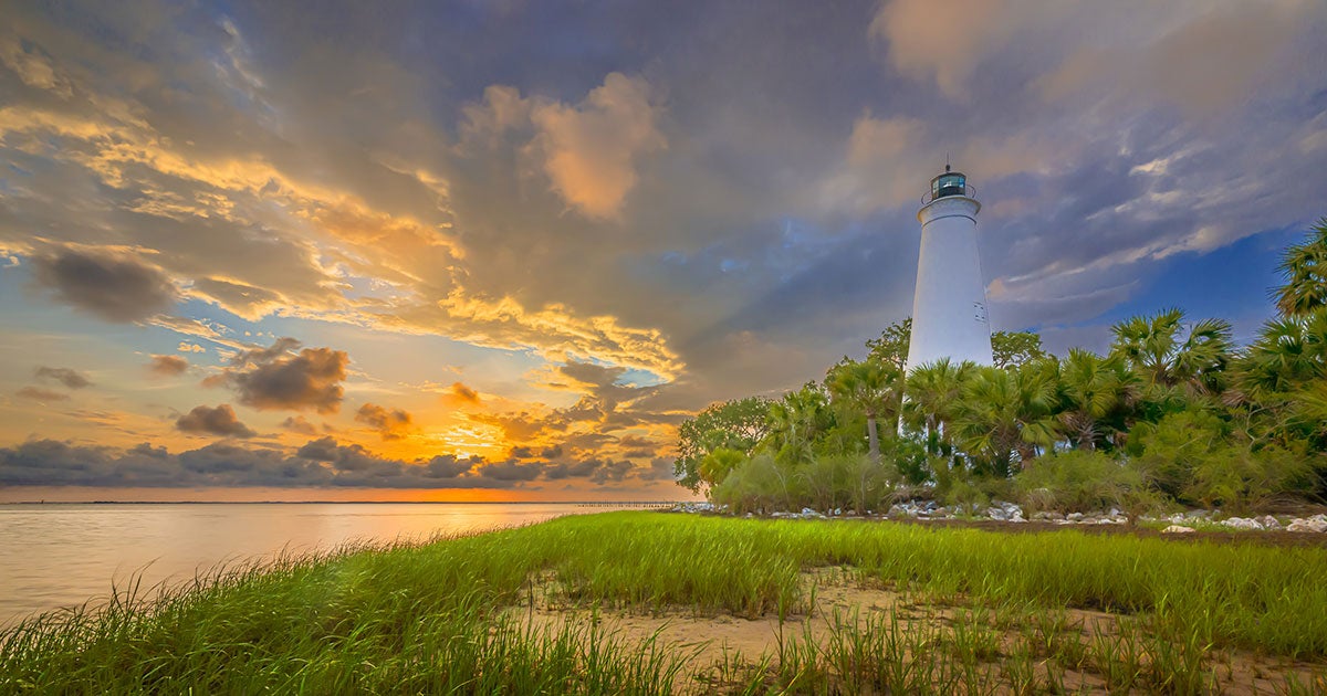 St Marks Wildlife Refuge