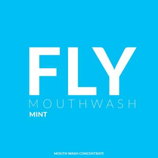 Fly logo